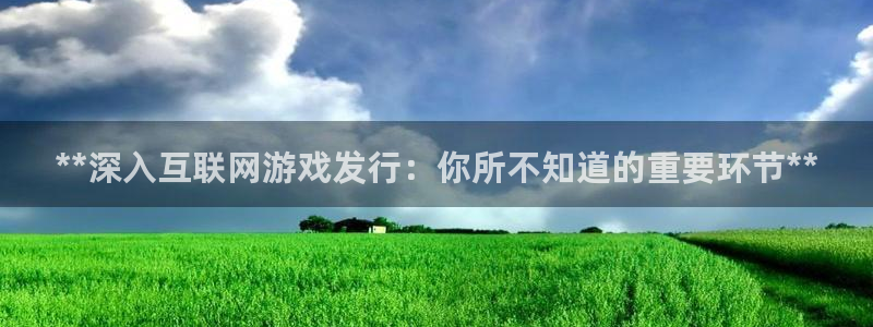 蓝狮在线注册平台是什么公司：**深入互联网游戏发行：你所不知道的重要环节**