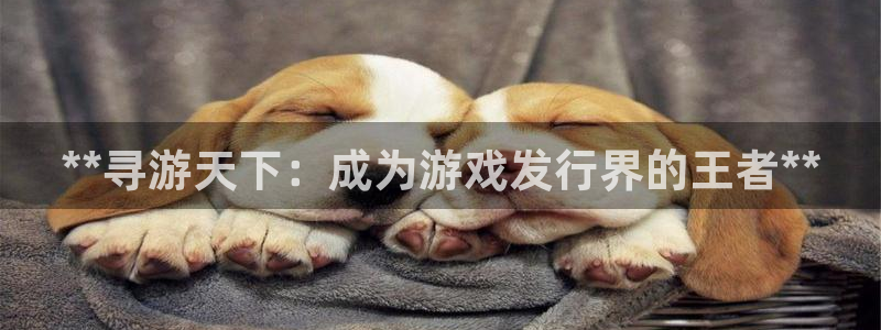 蓝狮在线注册方法是什么：**寻游天下：成为游戏发行界的王者**