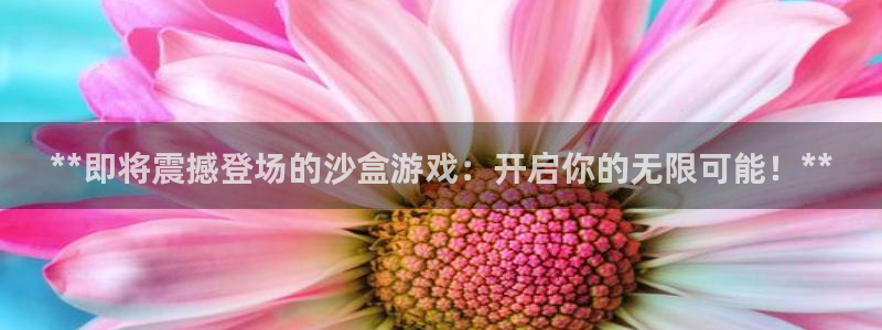蓝狮子教育科技有限公司：**即将震撼登场的沙盒游戏：开启你的无限可能！**