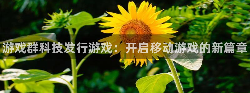 蓝狮电子商务