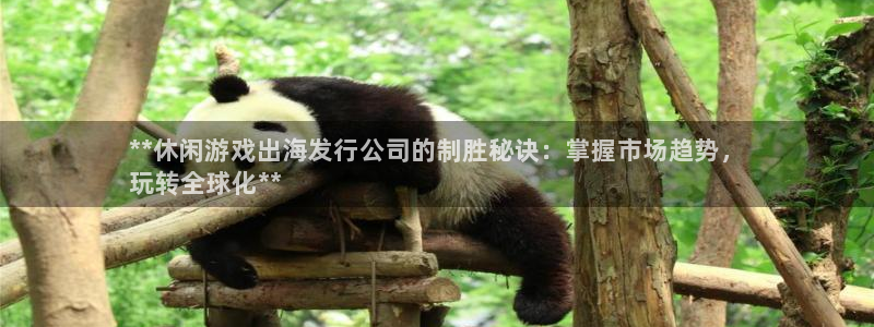 重庆蓝狮子文化传播有限公司：**休闲游戏出海发行公司的制胜秘诀：掌握市场趋势，
玩转全球化**