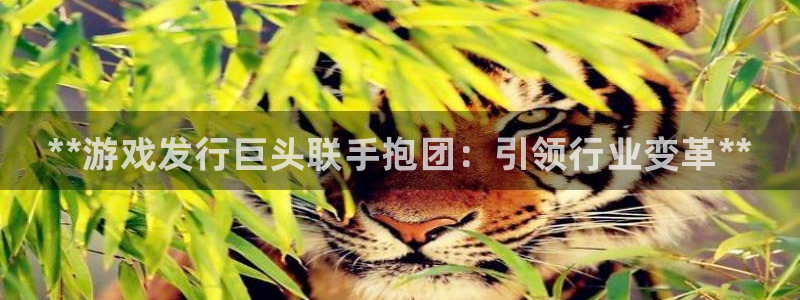 蓝狮在线客服招聘：**游戏发行巨头联手抱团：引领行业变革**