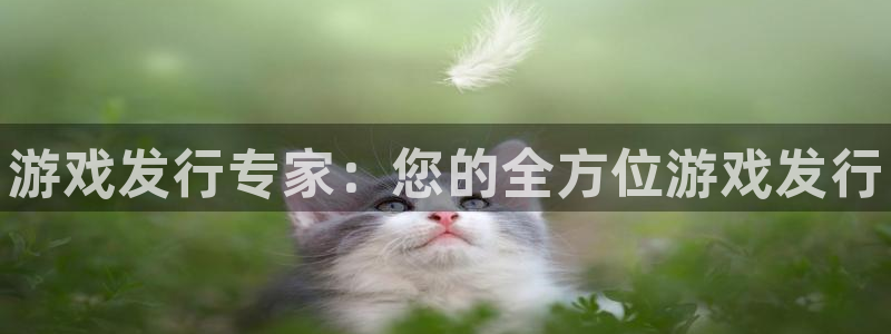 蓝狮在线注册平台怎么注册账号