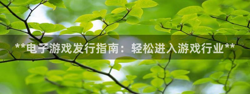 蓝狮电子商务有限公司怎么样：**电子游戏发行指南：轻松进入游戏行业**