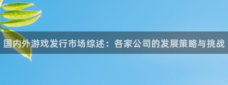 蓝狮红酒怎么样：国内外游戏发行市场综述：各家公司的发展策略与挑战
