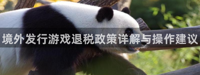 蓝狮在线：境外发行游戏退税政策详解与操作建议