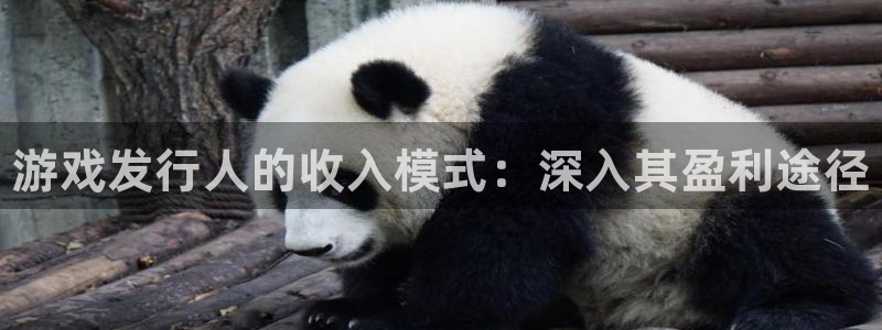 蓝狮平台登录入口官网：游戏发行人的收入模式：深入其盈利途径