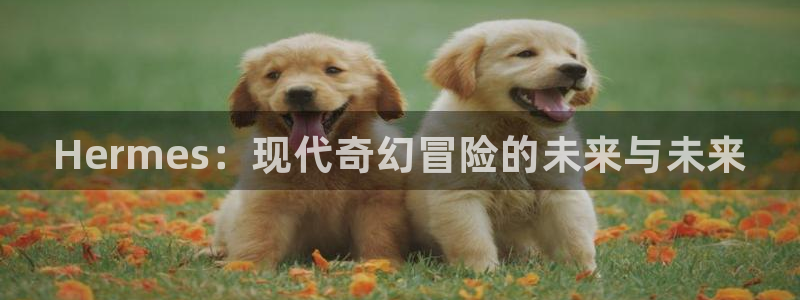 蓝狮在线平台怎么样：Hermes：现代奇幻冒险的未来与未来