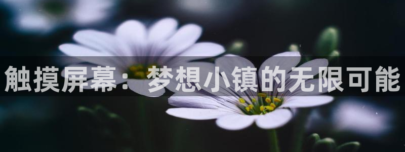 蓝狮在线游戏平台高奖金玩法：触摸屏幕：梦想小镇的无限可能