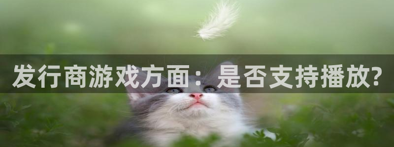 蓝狮校服：发行商游戏方面：是否支持播放?