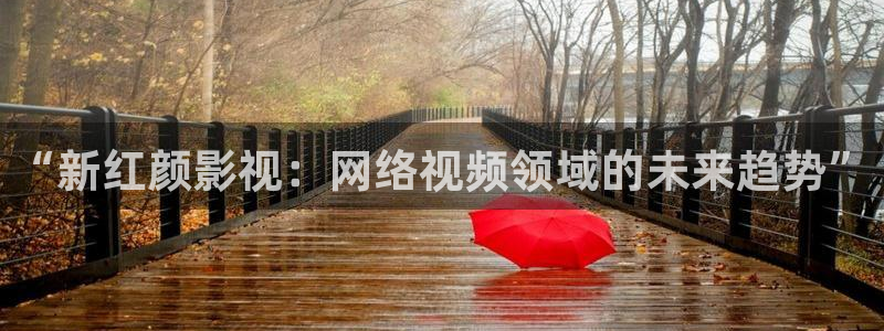 伊人春影院：“新红颜影视：网络视频领域的未来趋势”