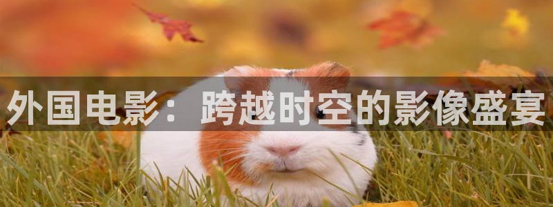 久久伊人影院网：外国电影：跨越时空的影像盛宴