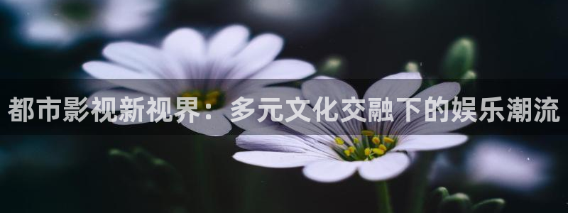 伊人360影院：都市影视新视界：多元文化交融下的娱乐潮流