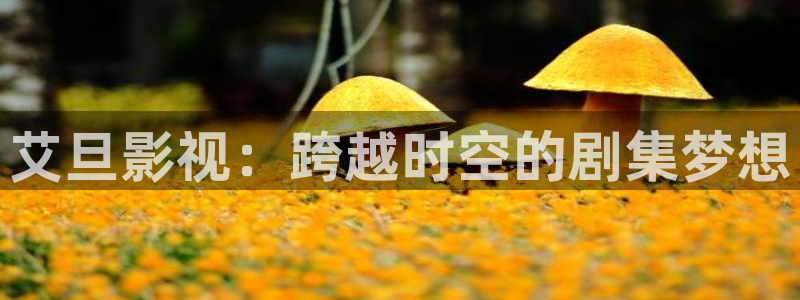 伊人影视丝瓜视频：艾旦影视：跨越时空的剧集梦想