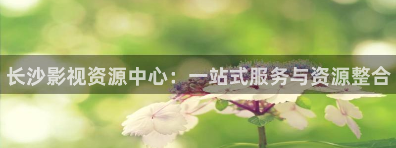 激情伊人影院：长沙影视资源中心：一站式服务与资源整合