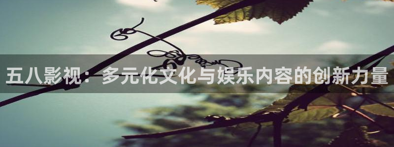 久久伊人视频网：五八影视：多元化文化与娱乐内容的创新力量