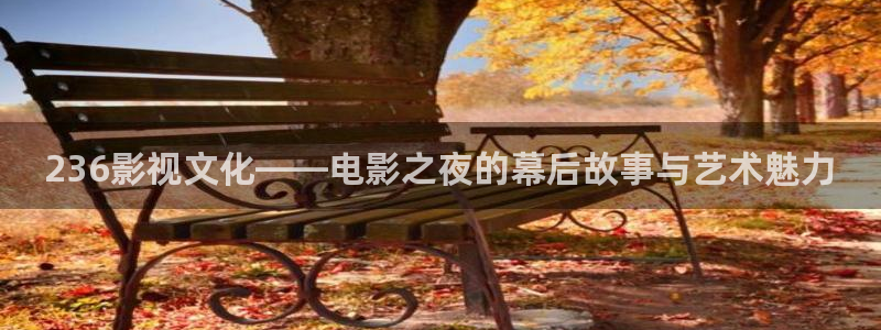 伊人私人影院在线：236影视文化——电影之夜的幕后故事与艺术魅力